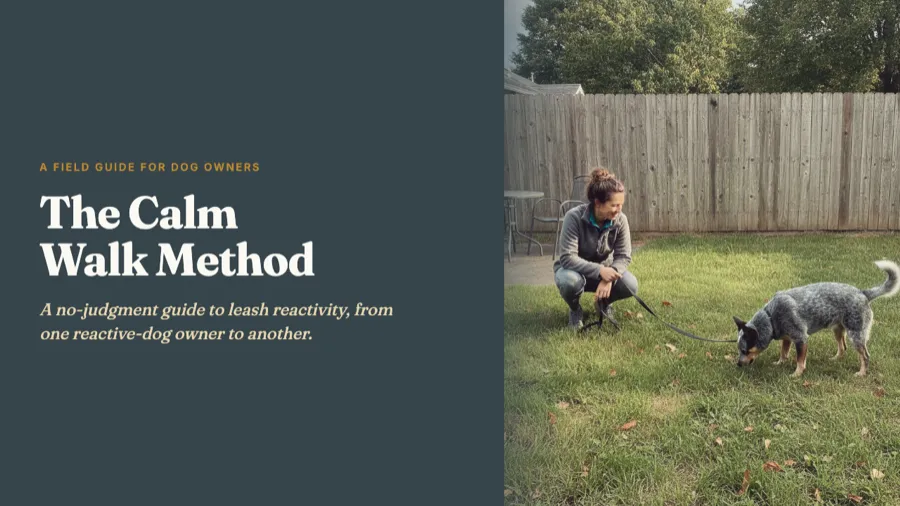 The Calm Walk Method guide cover
